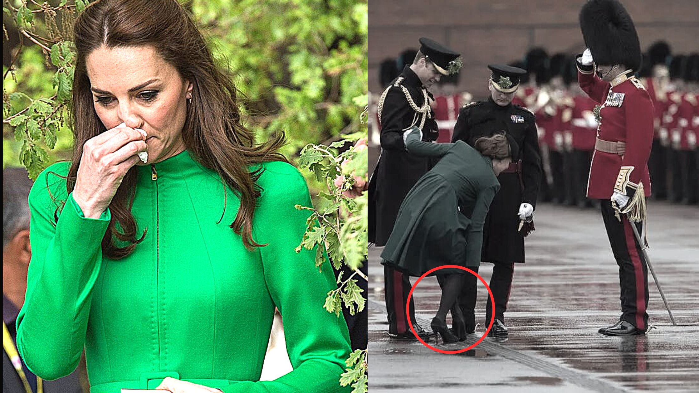 Prince William's Swift Rescue of Kate Middleton at St. Patrick's Parade